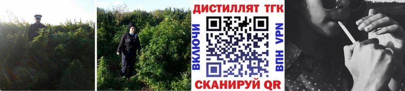 Дистиллят ТГК жижа  Олонец 