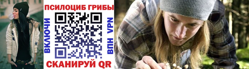 blacksprut сайт  Олонец  Галлюциногенные грибы Psilocybe  маркетплейс какой сайт  как найти закладки 